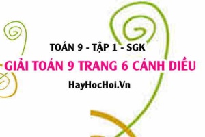 Giải Toán 9 trang 6 tập 1 Cánh Diều SGK